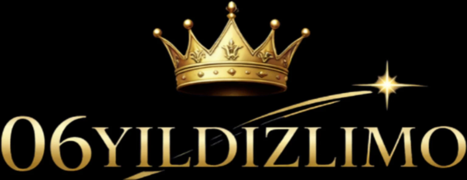 06YILDIZ LIMO Logo